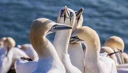 拆开看才发现：91网越用越“像”，因为片单规划在收敛（一条讲透）